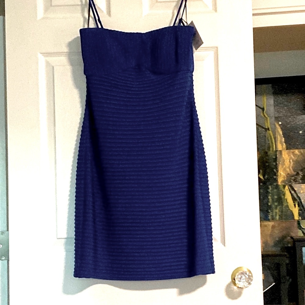 NWT- Spaghetti Strap Or Strapless Bodycon Form Fitting Beautiful Blue Sexy Dress